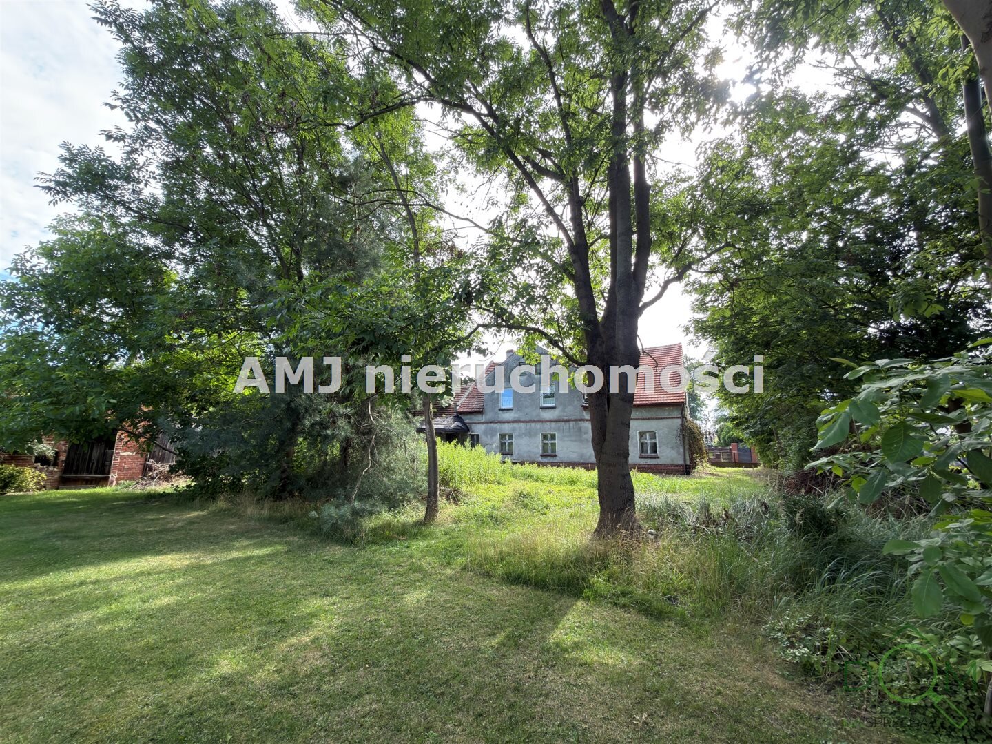 amj_nieruchomosci_ds_AMJ-DS-250-1_4.jpg