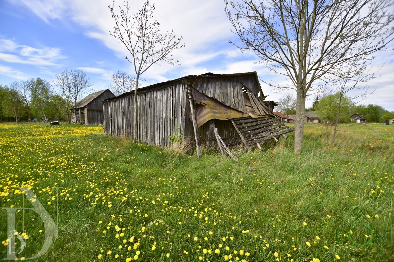 dolinscy_nieruchomosci_ds_PDN-DS-55-1_28.jpg