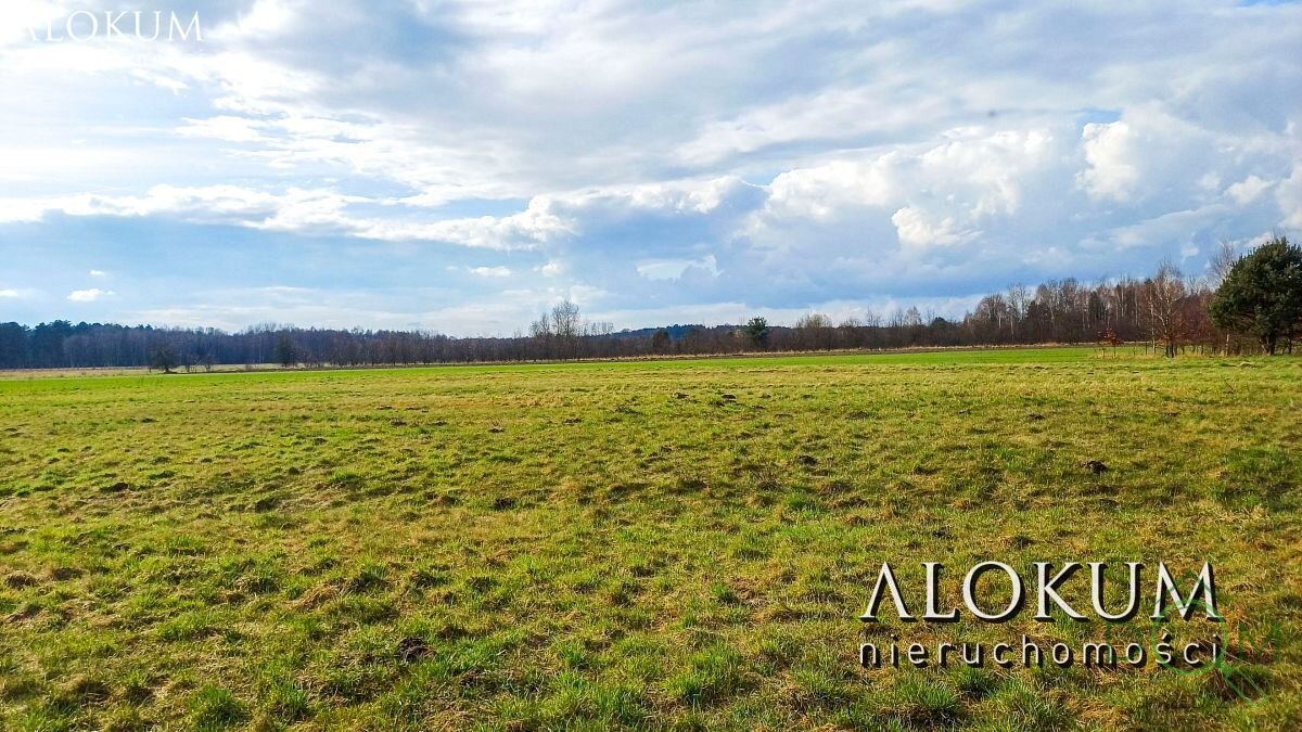 alokum_nieruchomosci_zs_2443_5.jpg