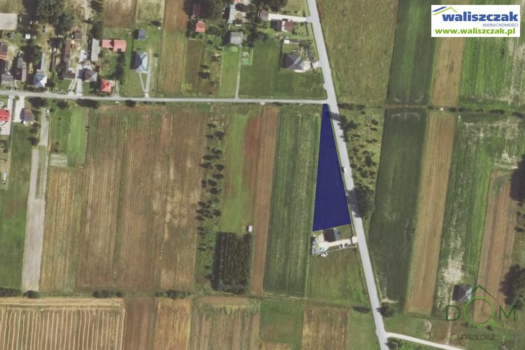 waliszczak_nieruchomosci_zs_GS-14848_1.jpg