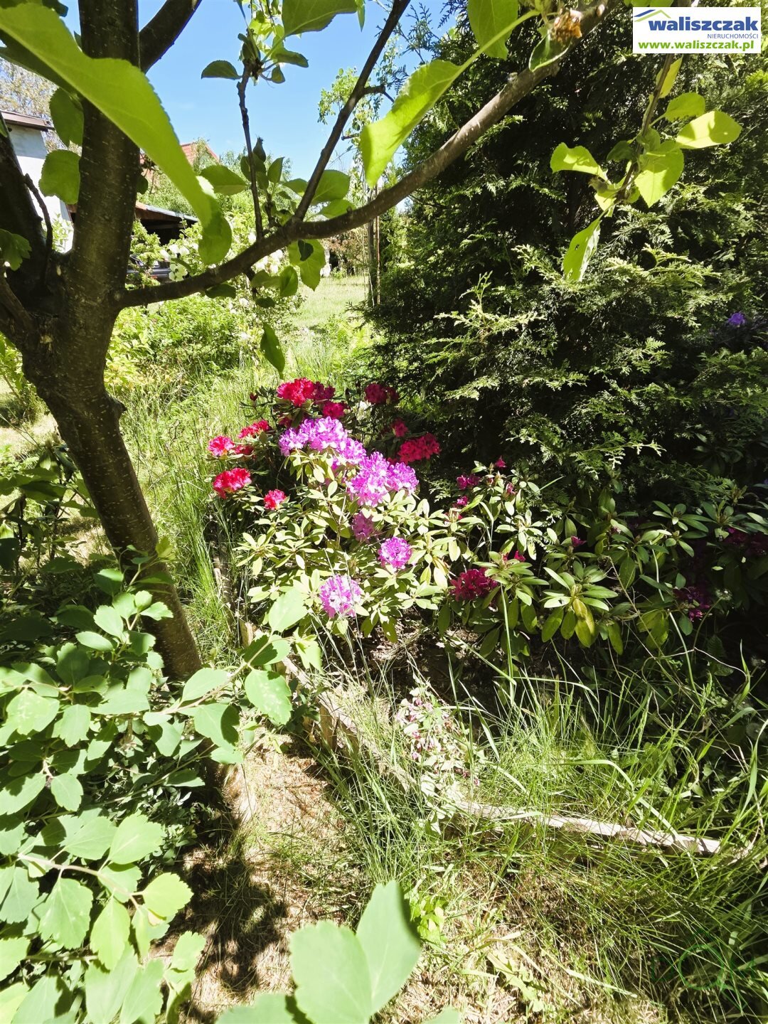 waliszczak_nieruchomosci_ds_DS-14919_21.jpg