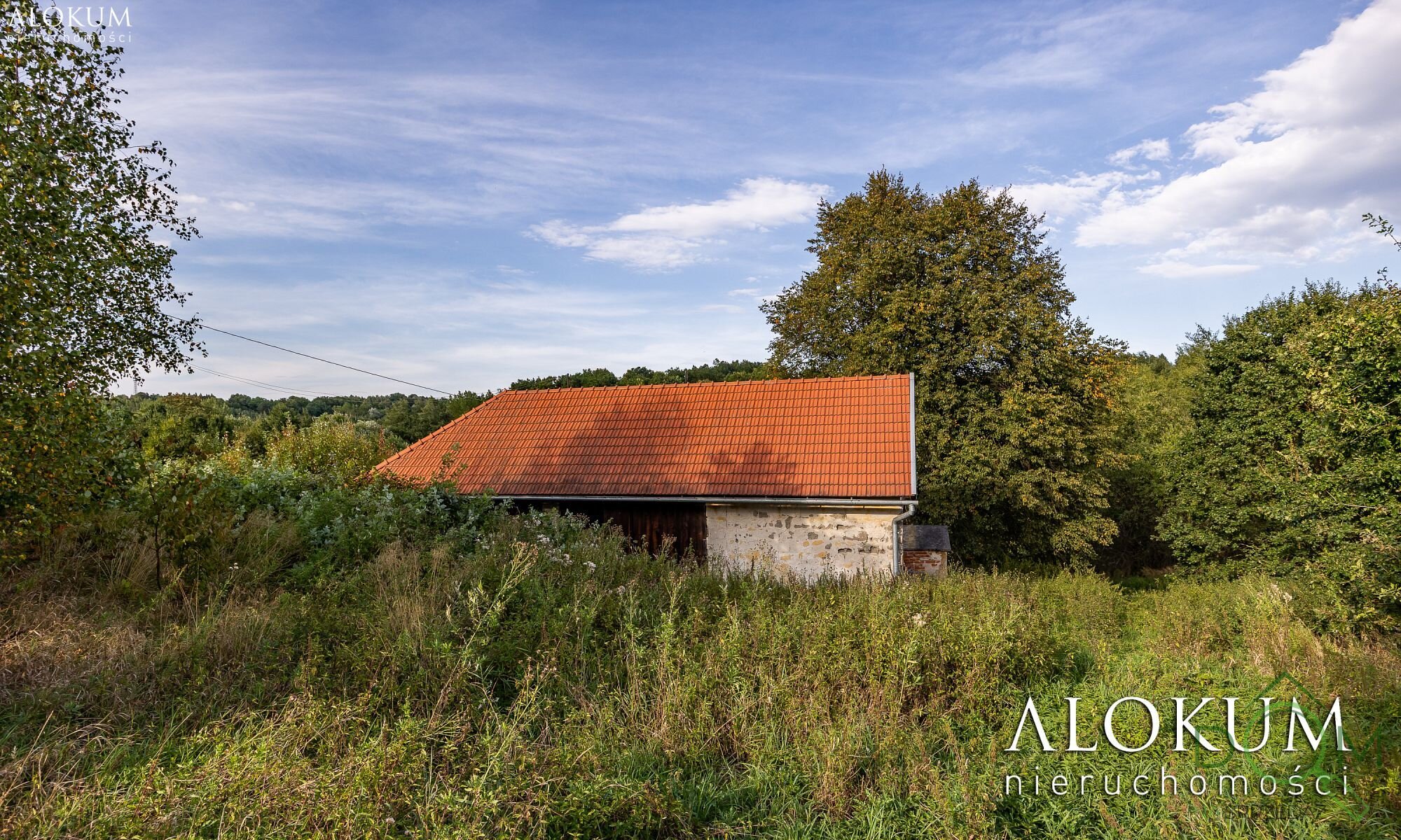 alokum_nieruchomosci_zs_3254_12.jpg