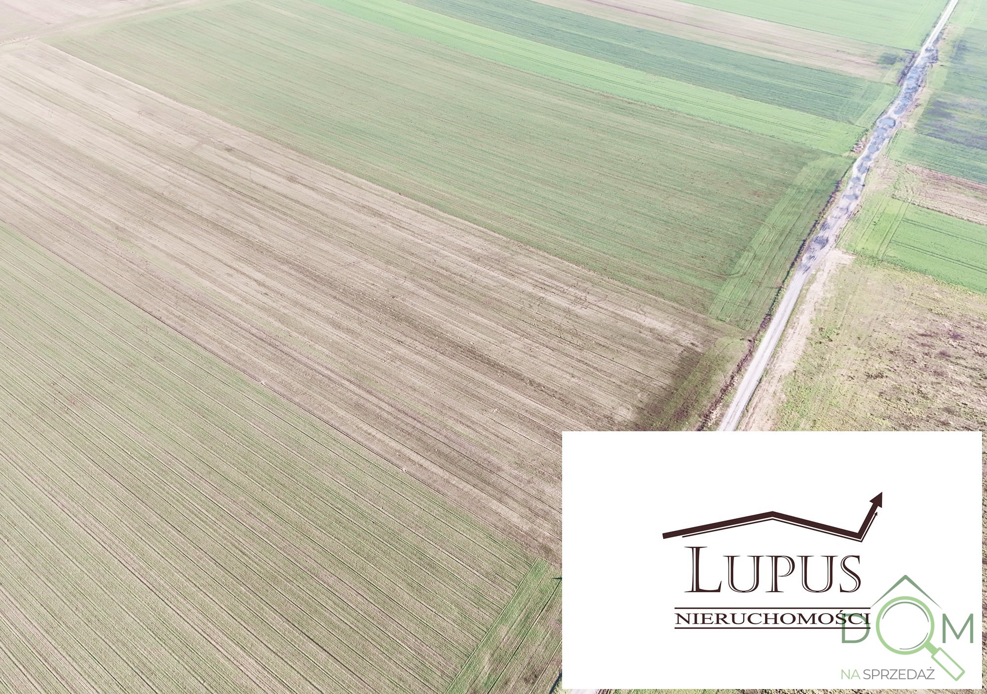 lupus_nieruchomosci_zs_2203_5.jpg