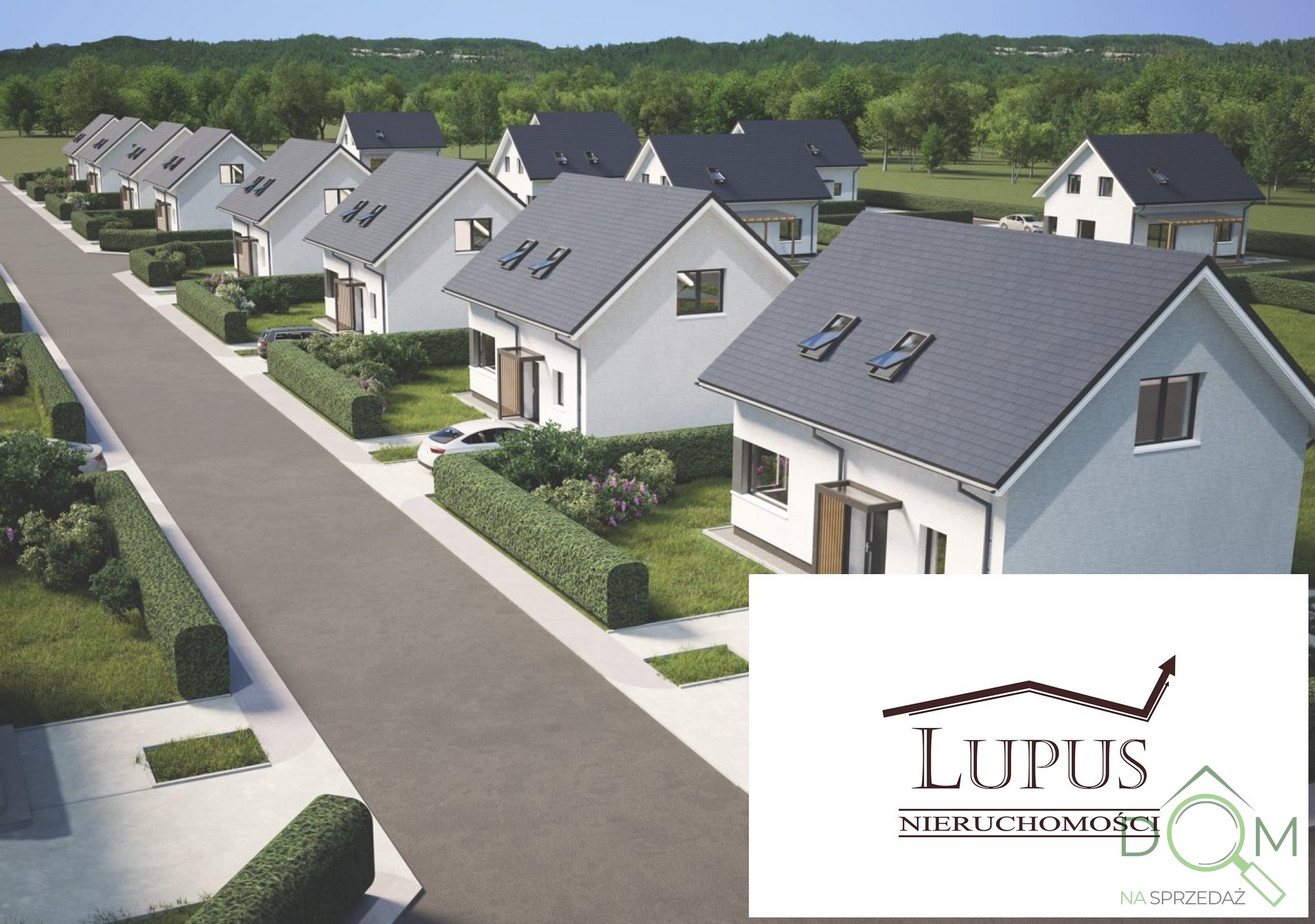 lupus_nieruchomosci_ds_2241_1.jpg
