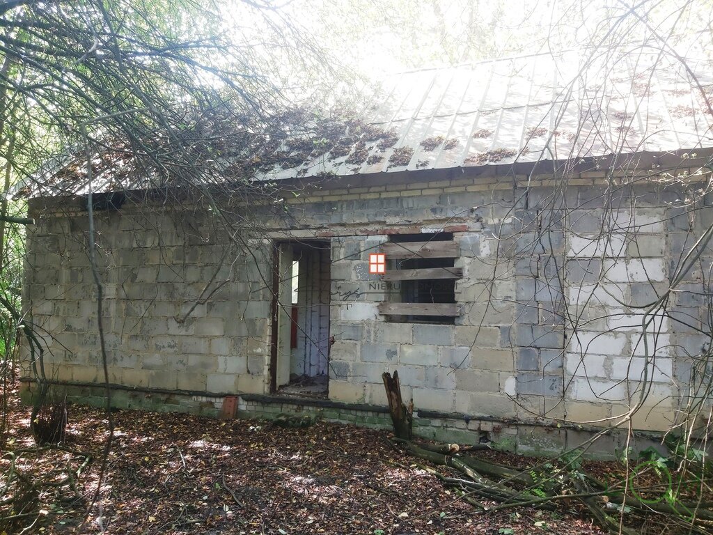 107515212.jpg