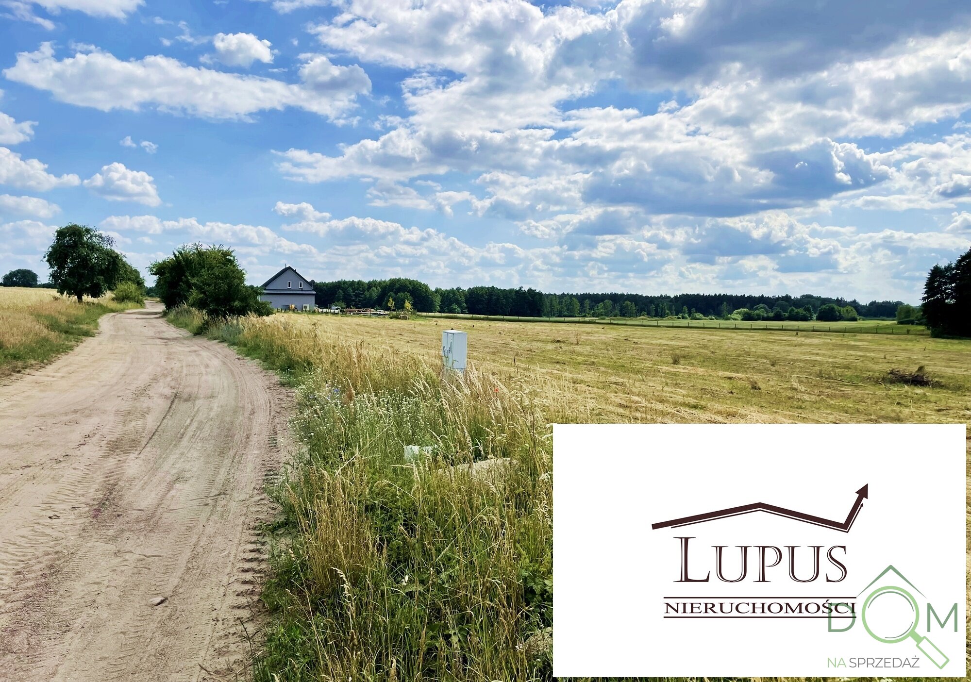 lupus_nieruchomosci_zs_2192_14.jpg