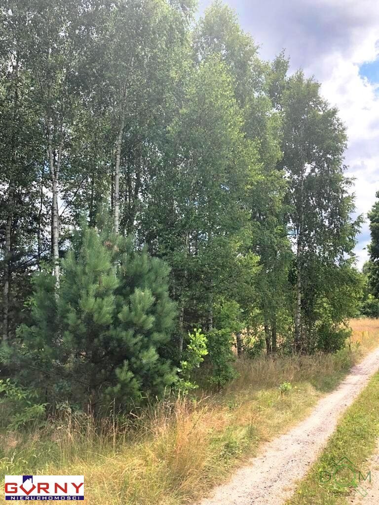 gorny_nieruchomosci_zs_NIG-GS-4276_7.jpg