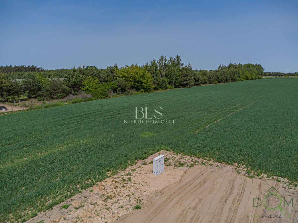 bls_nieruchomosci_zs_EC454287_1.jpg