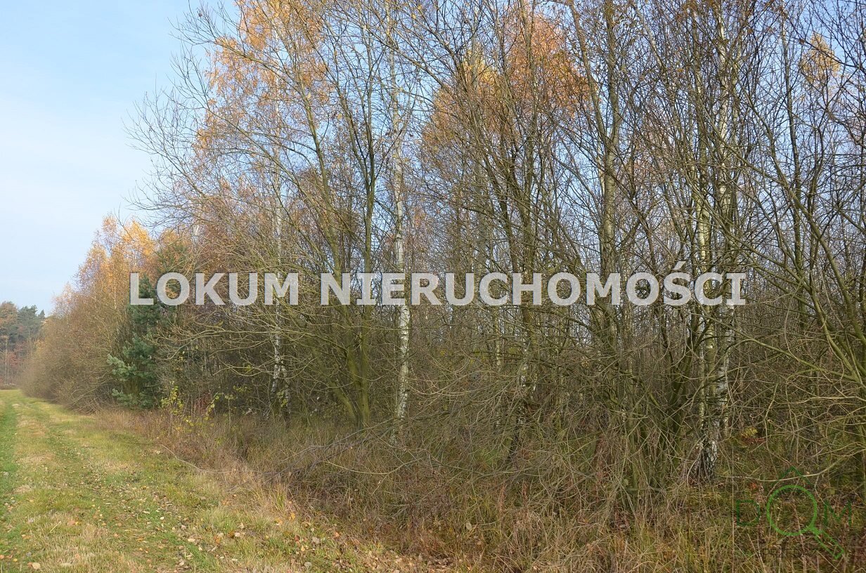 lokum_nieruchomosci_dt_zs_LOK-GS-1467_32.jpg
