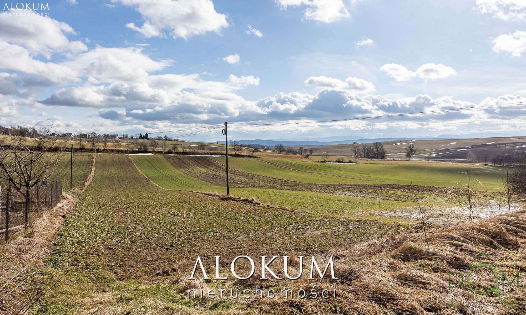 alokum_nieruchomosci_zs_3366_12.jpg