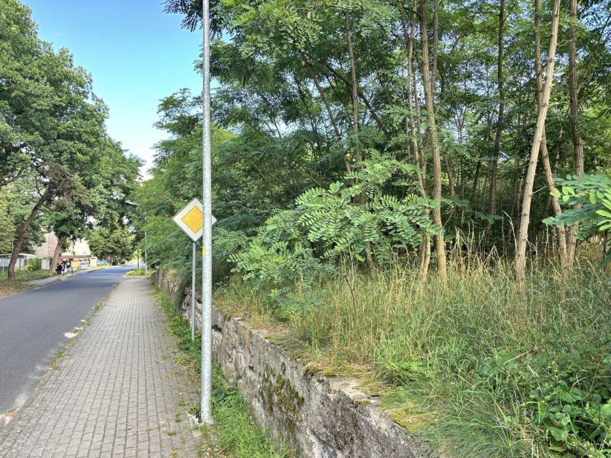 pozysk_nieruchomosci_zs_792535_7.jpg