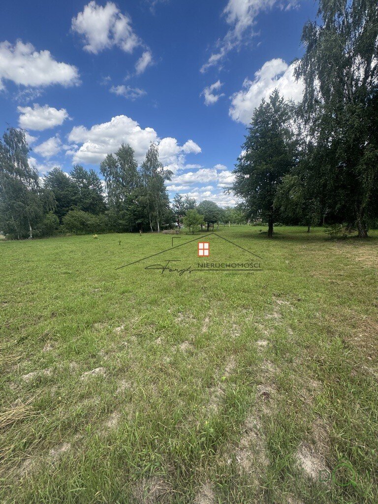 111455063.jpg