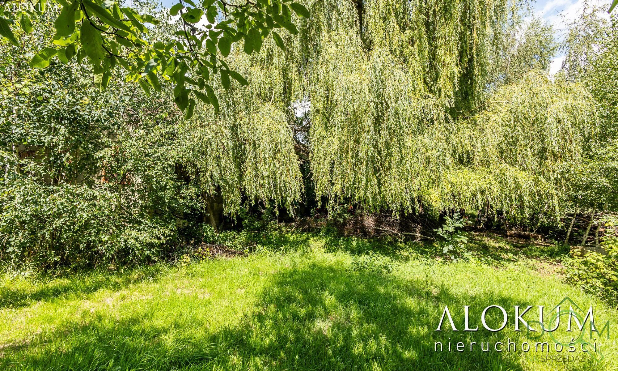 alokum_nieruchomosci_zs_3224_13.jpg