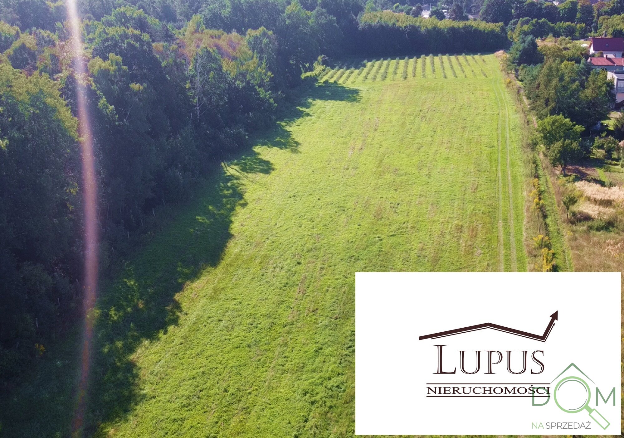 lupus_nieruchomosci_zs_2194_8.jpg