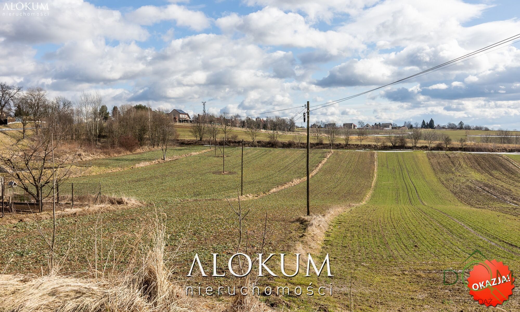 alokum_nieruchomosci_zs_3366_2.jpg