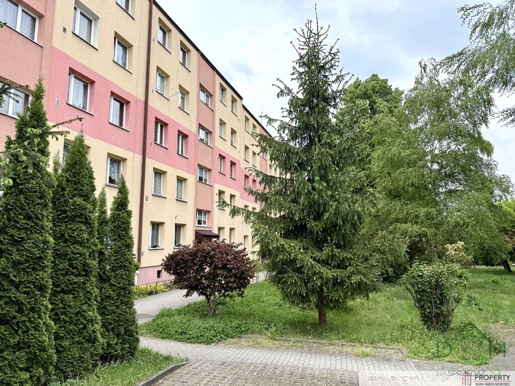 112541094.jpg