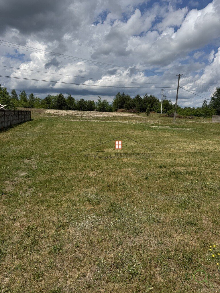 113147107.jpg