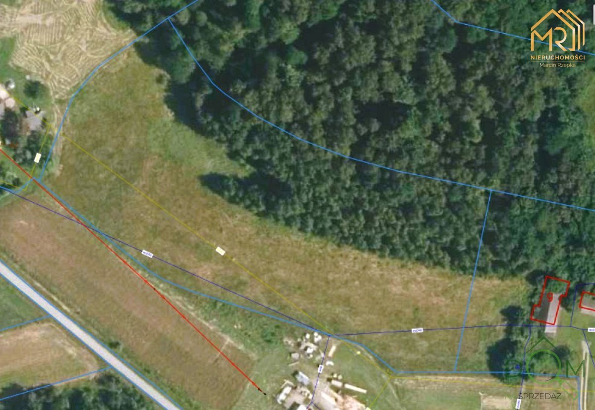 marcin_rzepka_nieruchomosci_zs_364_16.jpg