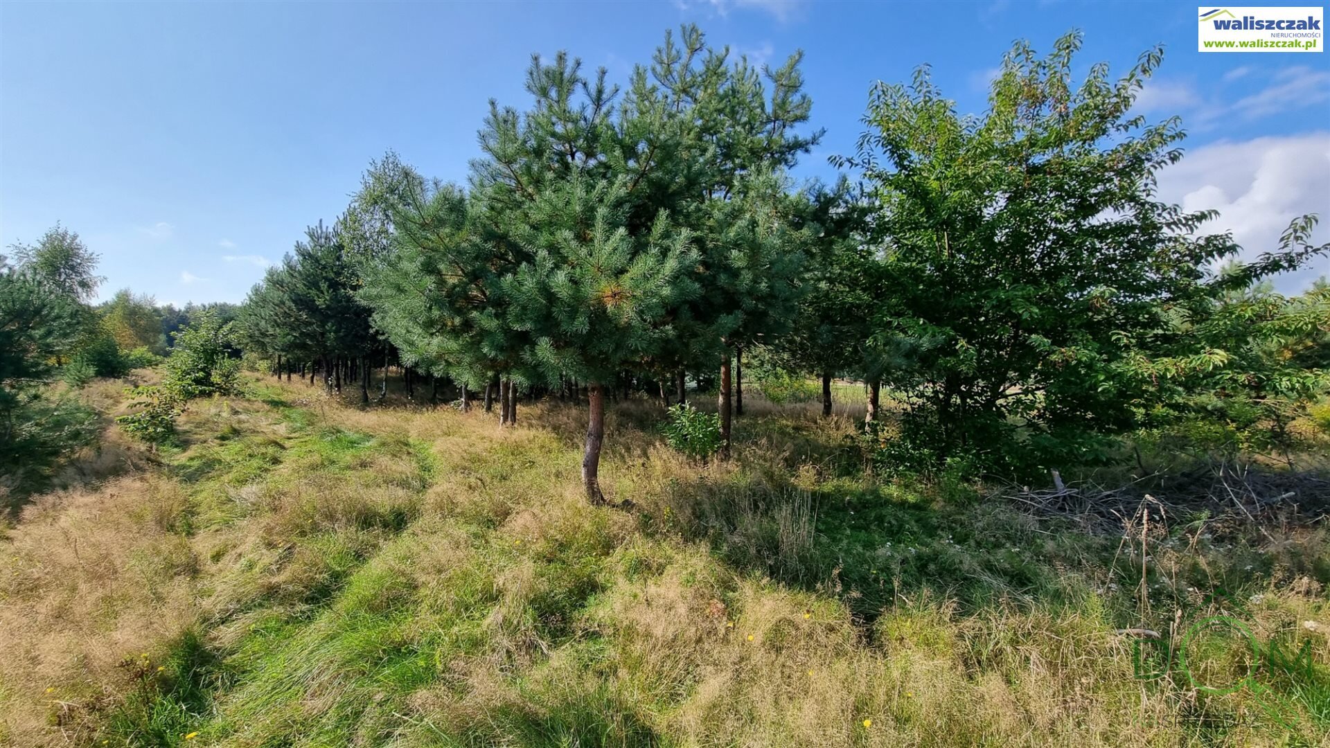 waliszczak_nieruchomosci_zs_GS-14640-4_5.jpg