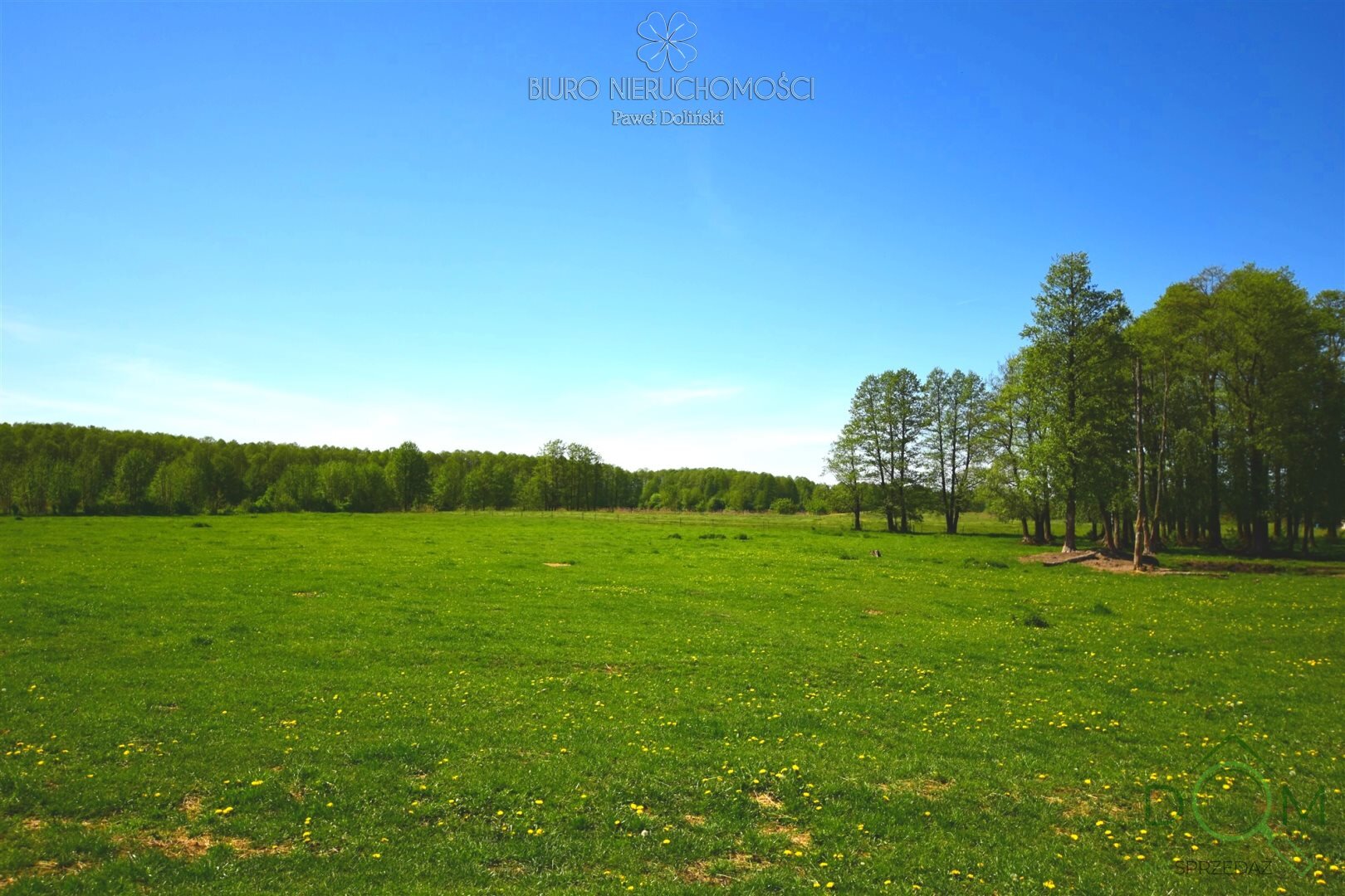 dolinscy_nieruchomosci_zs_PDN-GS-12-1_1.jpg