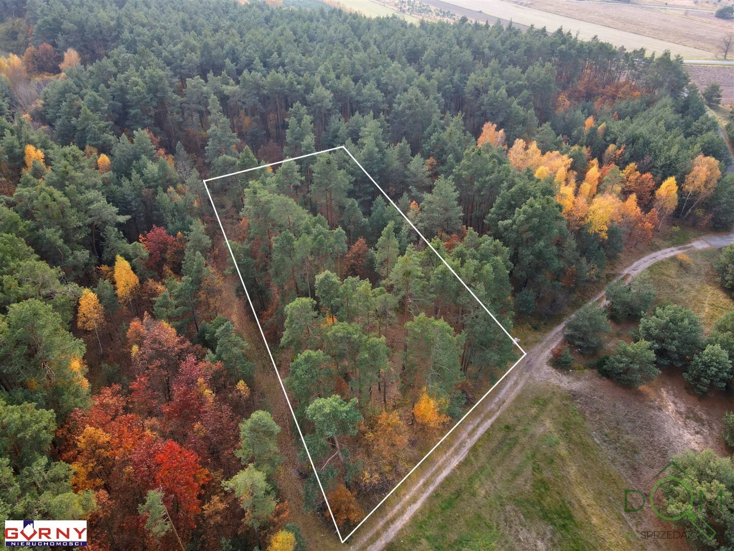 gorny_nieruchomosci_zs_NIG-GS-4008_2.jpg