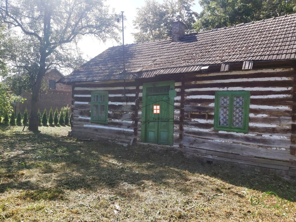 107515202.jpg