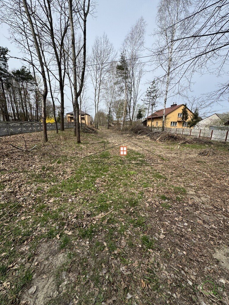 111916649.jpg