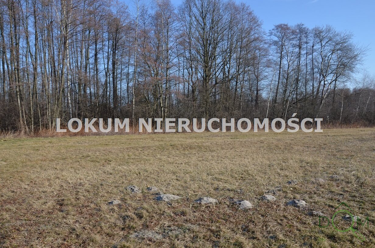 lokum_nieruchomosci_dt_zs_LOK-GS-1746_12.jpg
