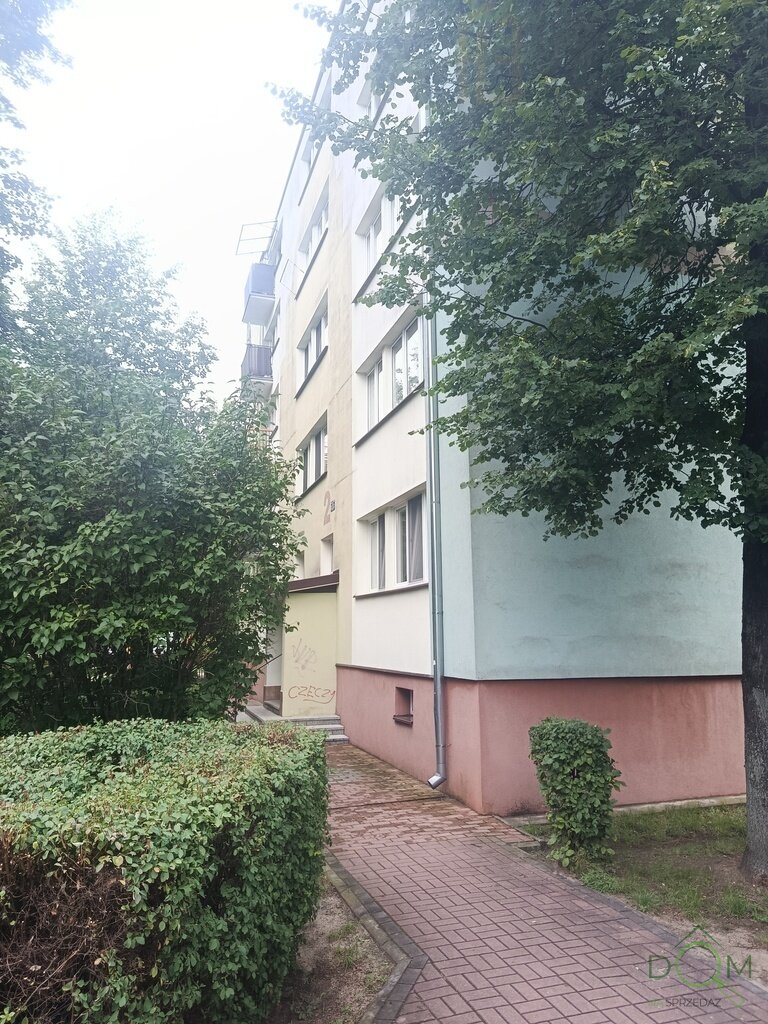113875617.jpg
