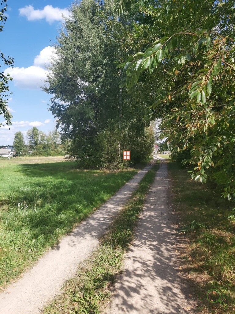 107391425.jpg