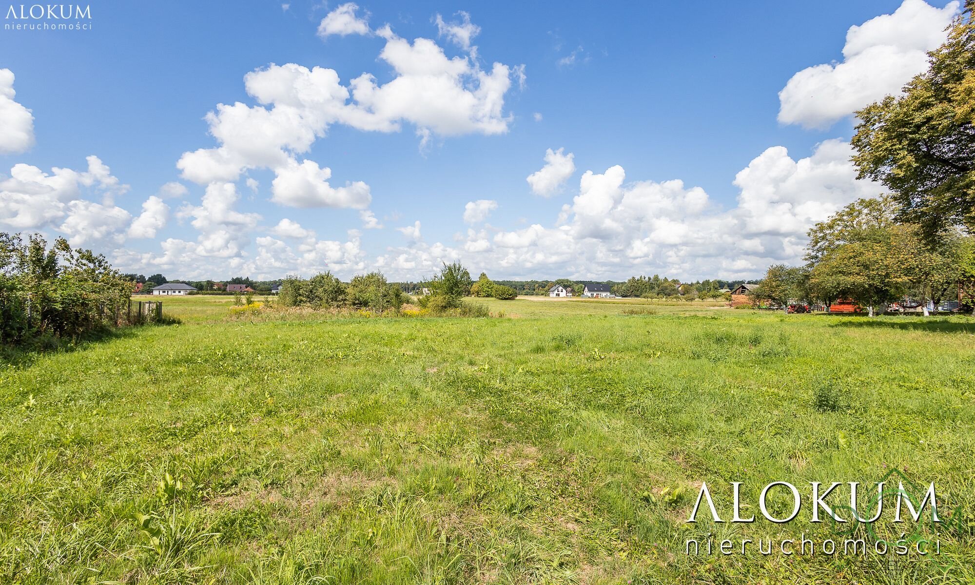alokum_nieruchomosci_zs_2966_14.jpg