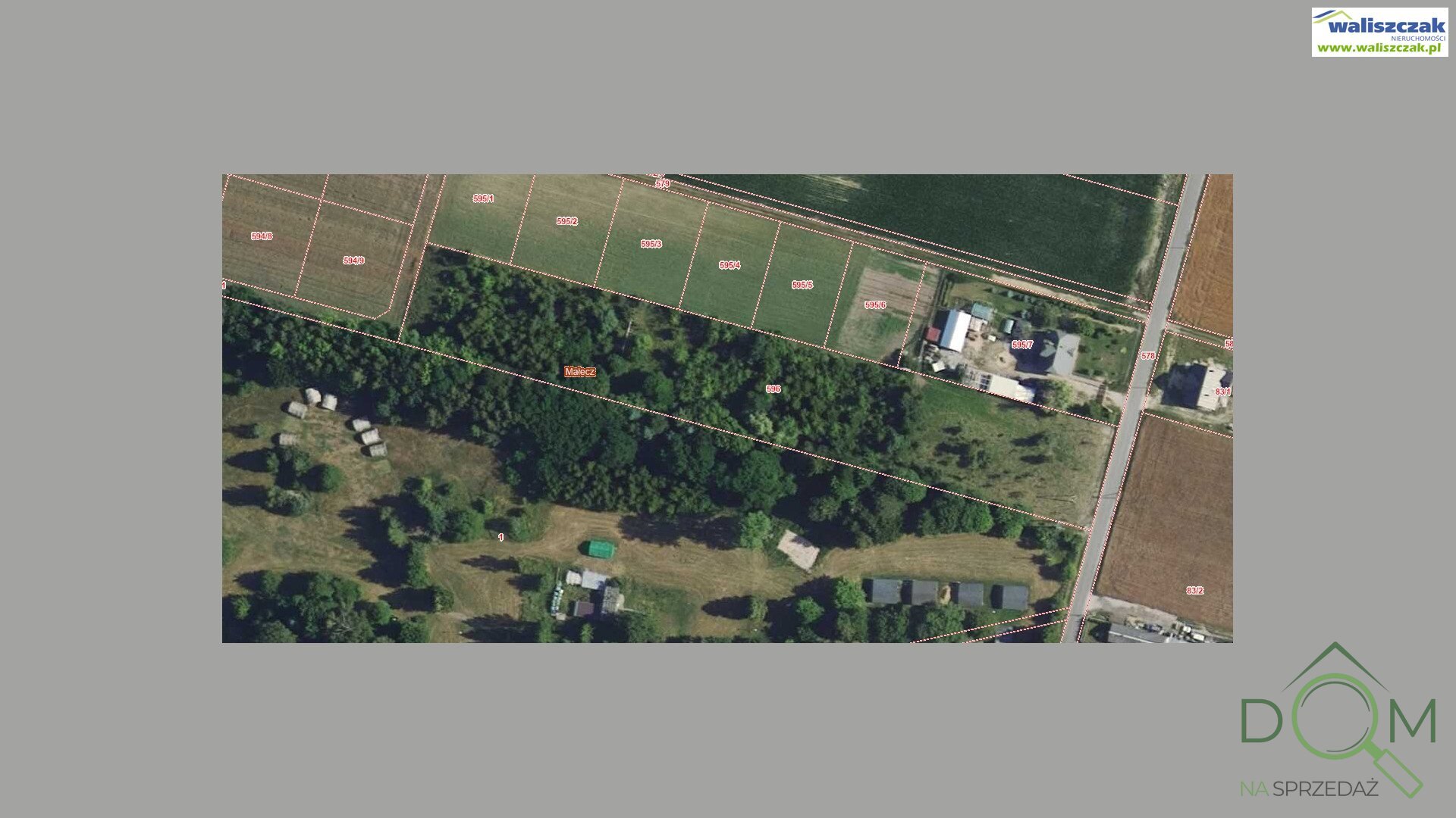 waliszczak_nieruchomosci_zs_GS-14846_1.jpg