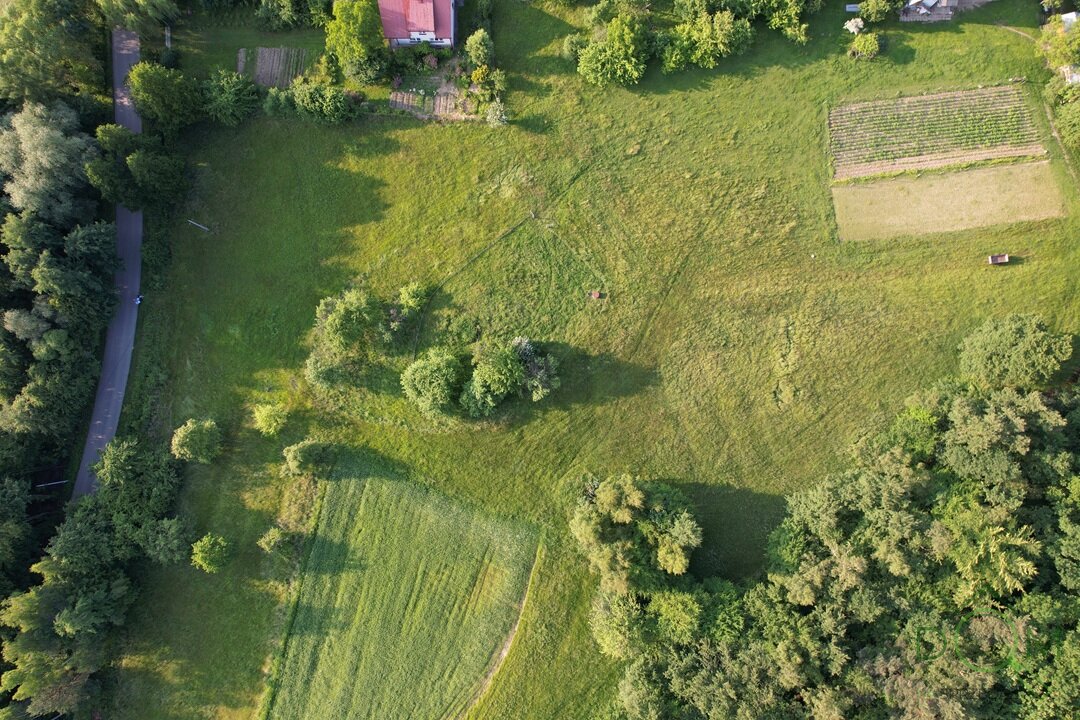 DJI_0256.JPG