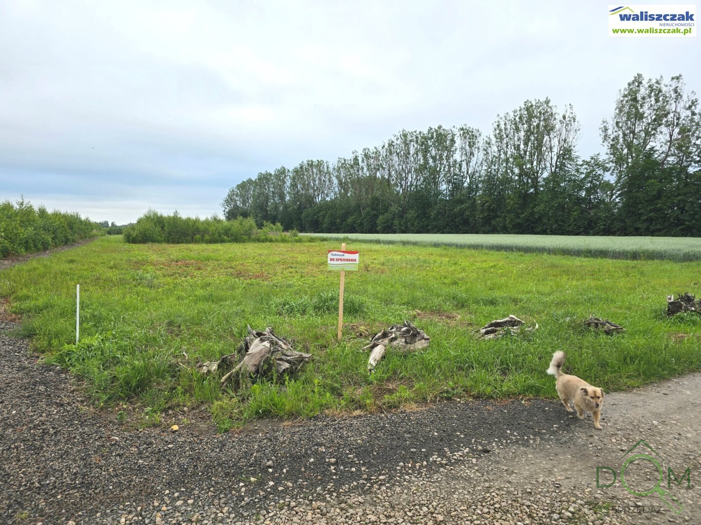 waliszczak_nieruchomosci_zs_GS-14711_3.jpg