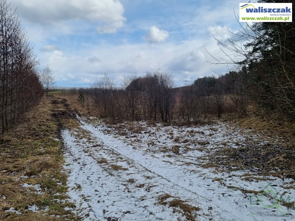 waliszczak_nieruchomosci_zs_GS-14477_4.jpg