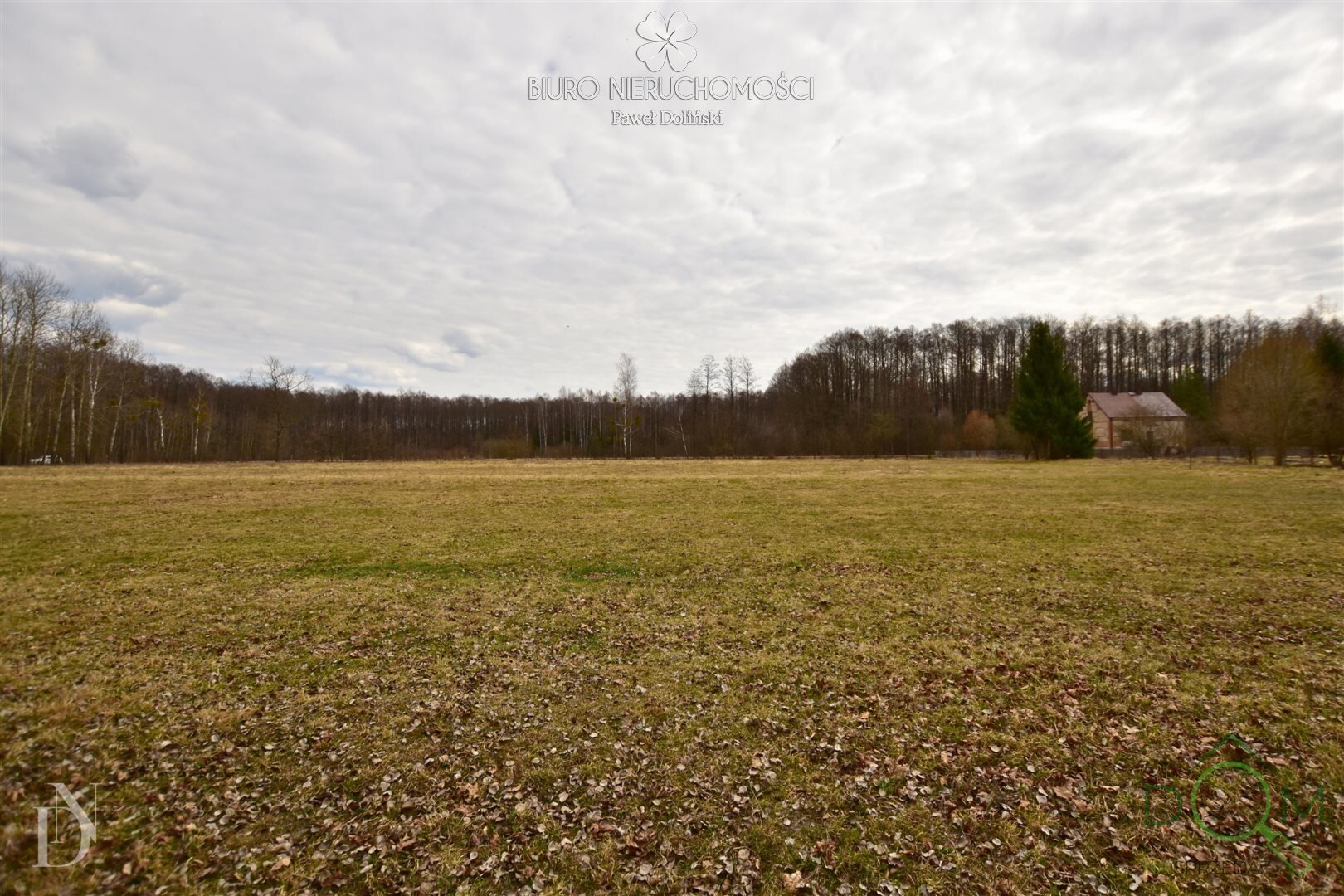 dolinscy_nieruchomosci_zs_PDN-GS-98_7.jpg