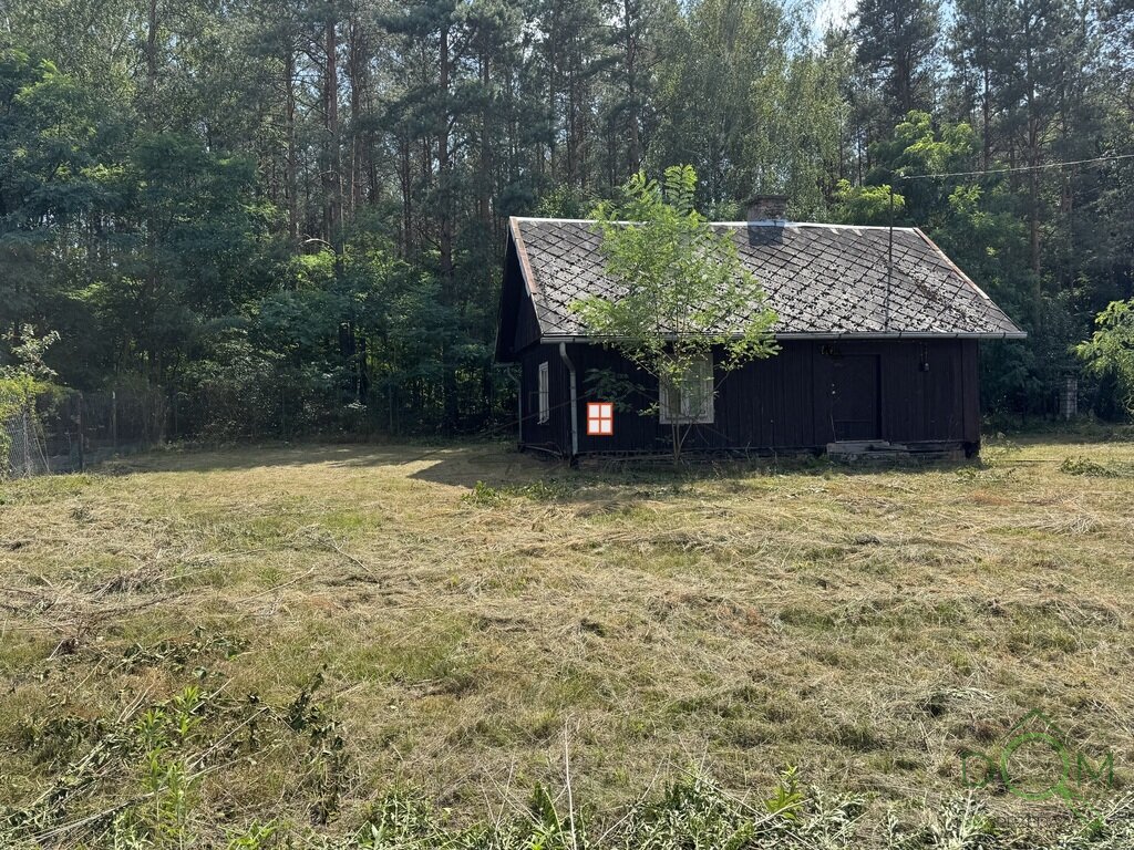 114271534.jpg