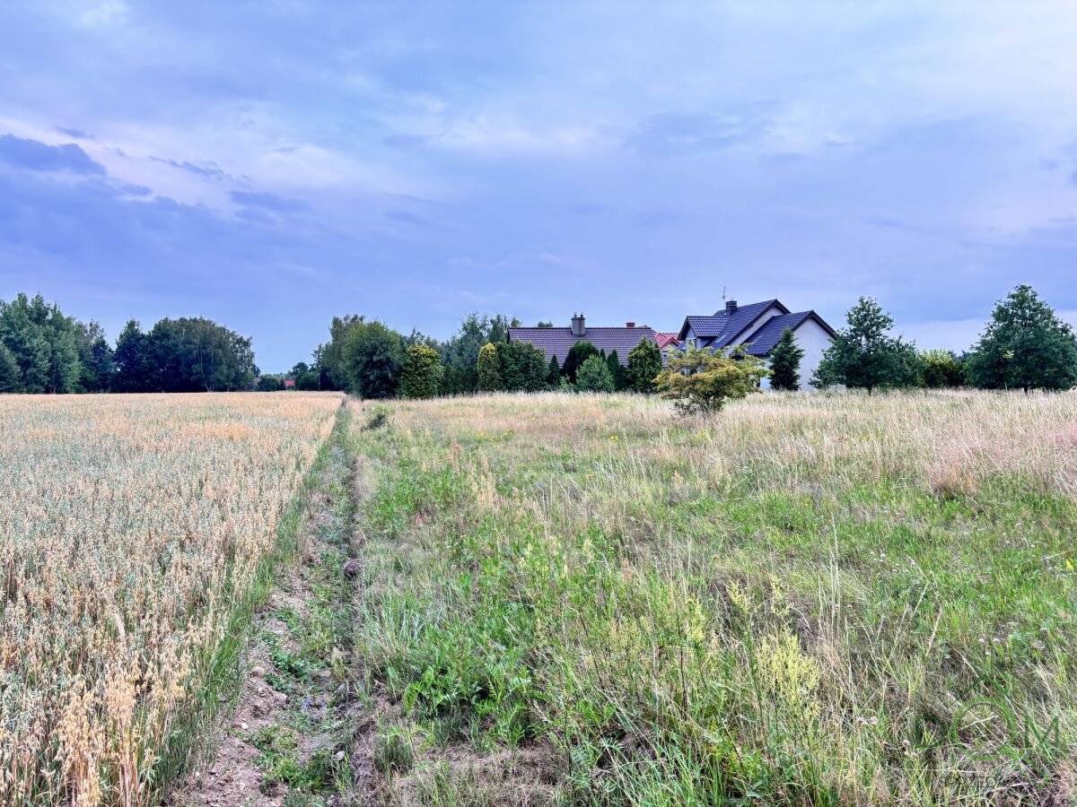 pozysk_nieruchomosci_zs_595403_4.jpg