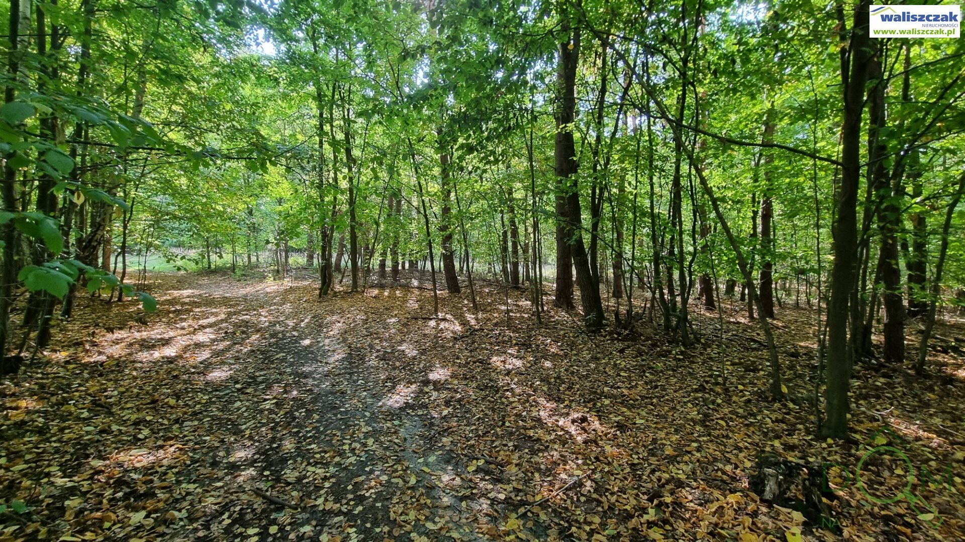 waliszczak_nieruchomosci_zs_GS-14640-3_8.jpg