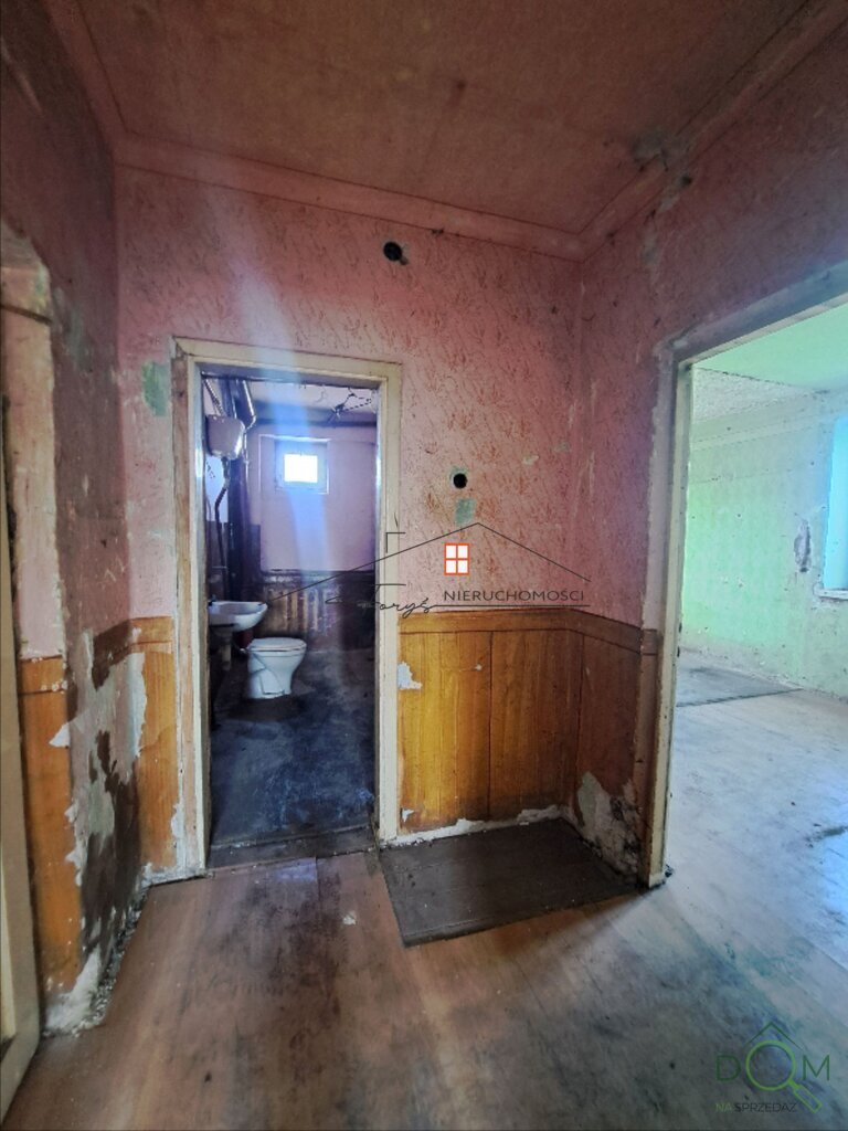 113348193.jpg