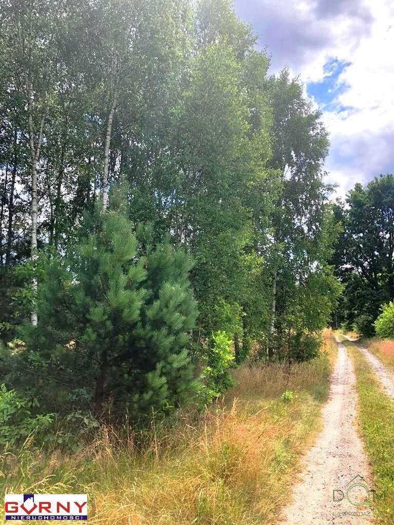 gorny_nieruchomosci_zs_NIG-GS-4276_6.jpg