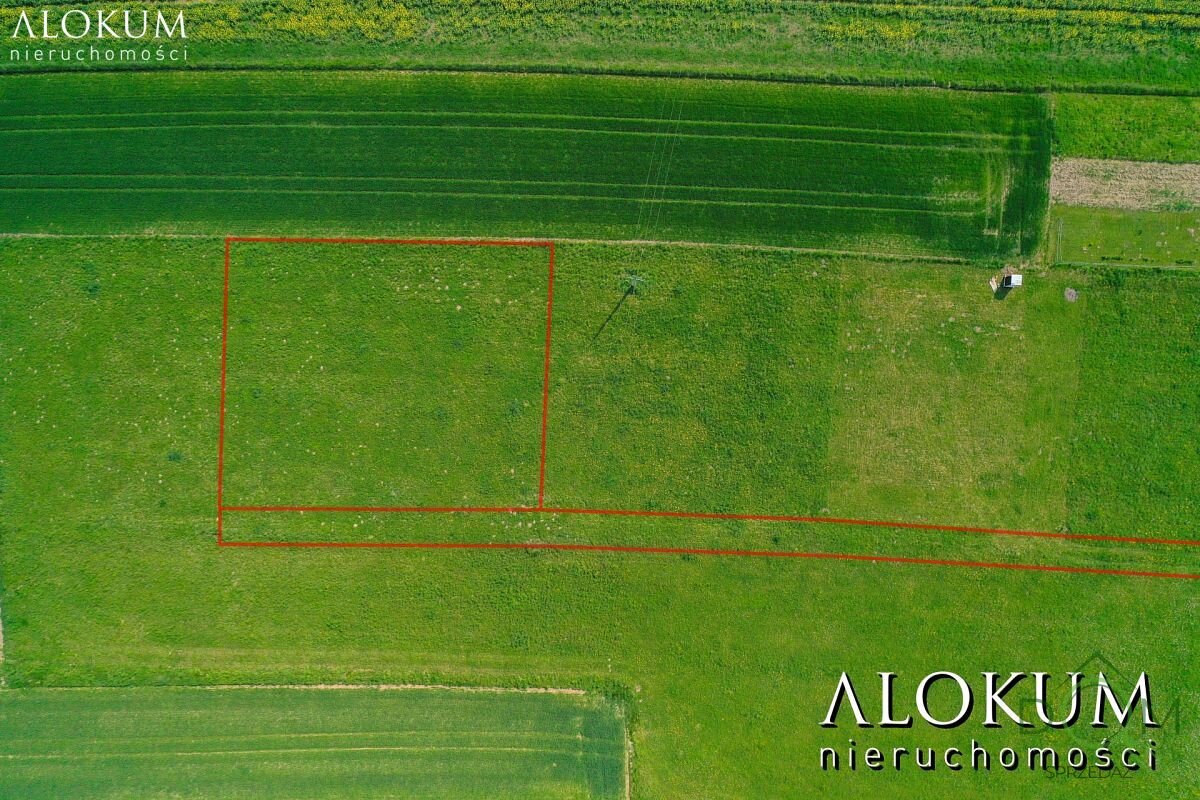 alokum_nieruchomosci_zs_2026_3.jpg