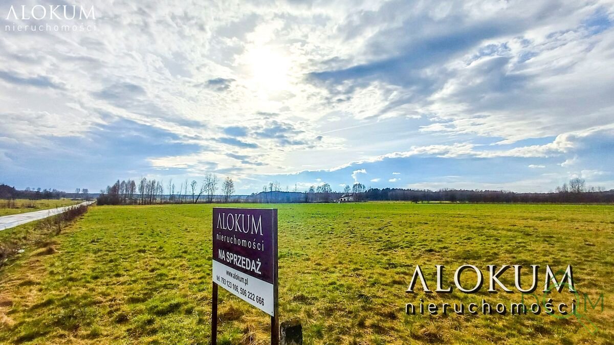 alokum_nieruchomosci_zs_2443_2.jpg