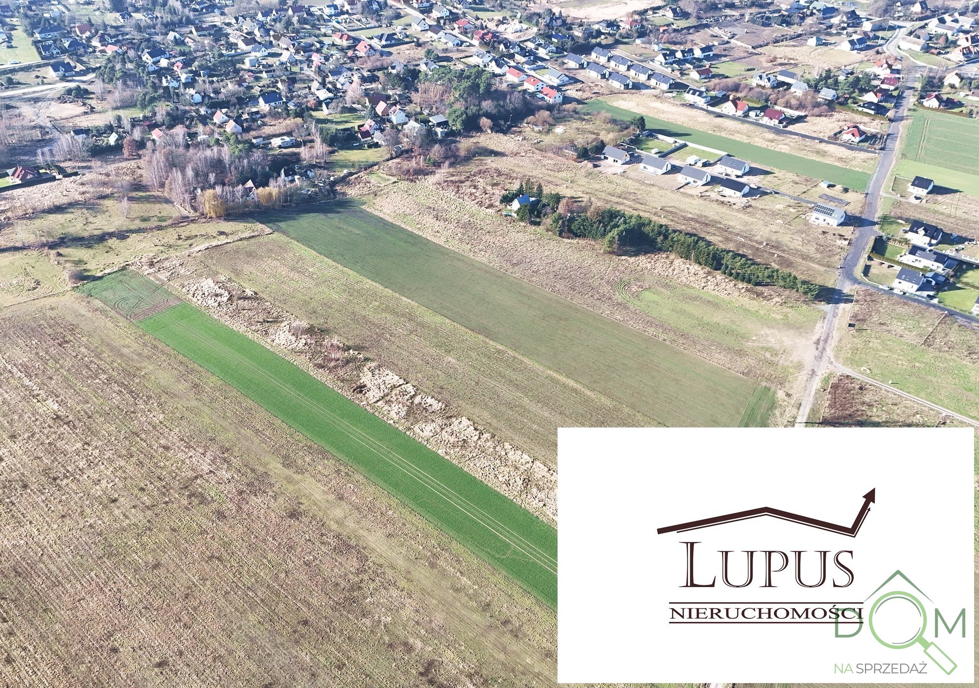 lupus_nieruchomosci_zs_2201_5.jpg