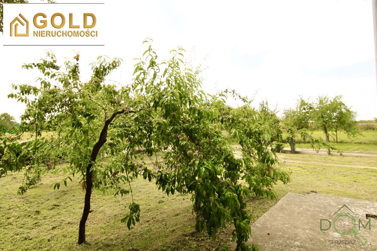 gold_nieruchomosci_ms_571_2.jpg