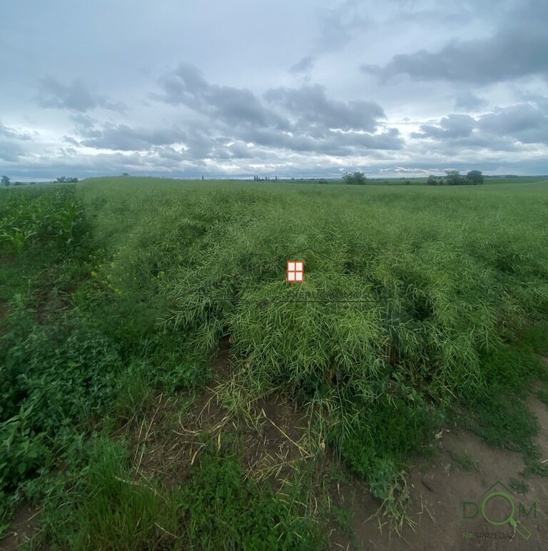 113960959.jpg