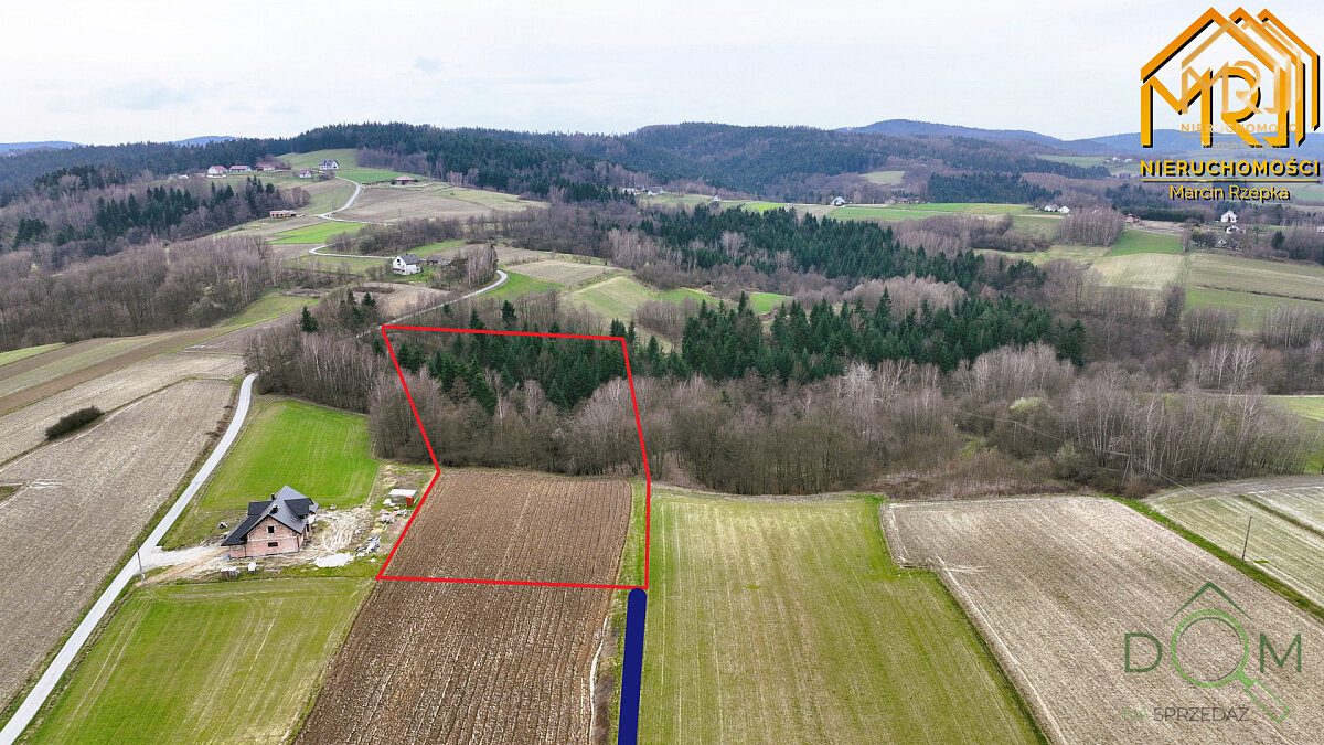 marcin_rzepka_nieruchomosci_zs_397_3.jpg
