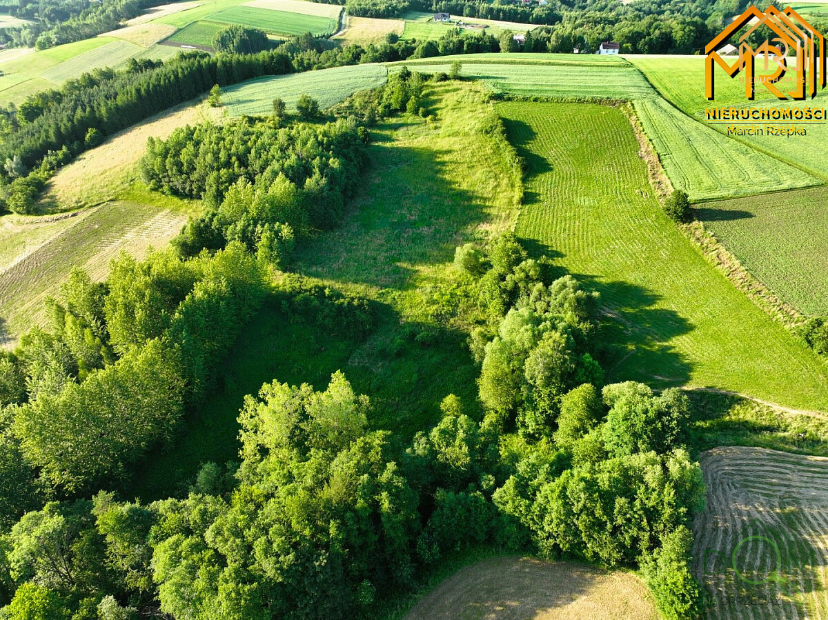 marcin_rzepka_nieruchomosci_zs_175_6.jpg