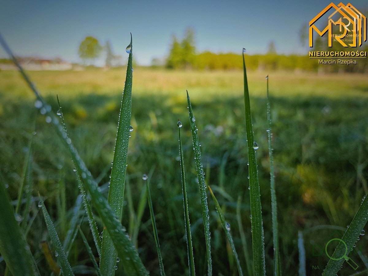 marcin_rzepka_nieruchomosci_zs_274_9.jpg