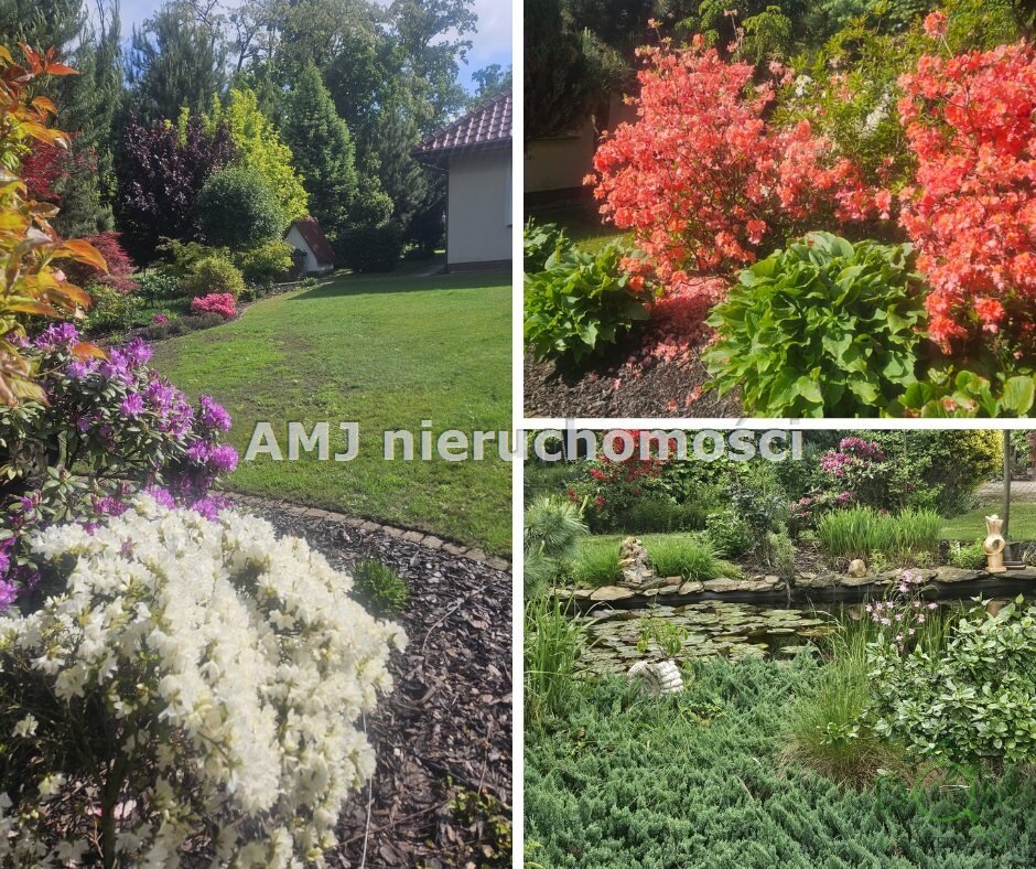 amj_nieruchomosci_ds_AMJ-DS-232-8_9.jpg
